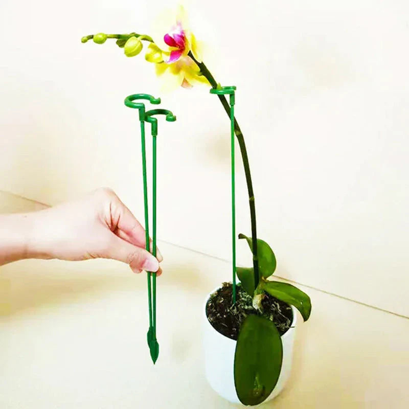 Haste de planta única (10PCS)