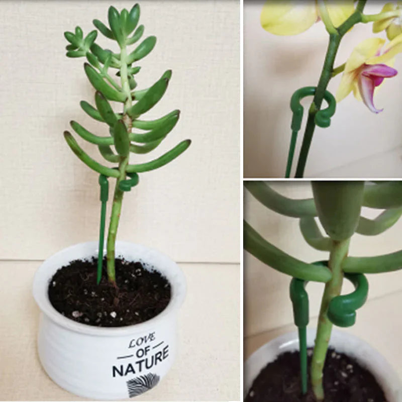 Haste de planta única (10PCS)